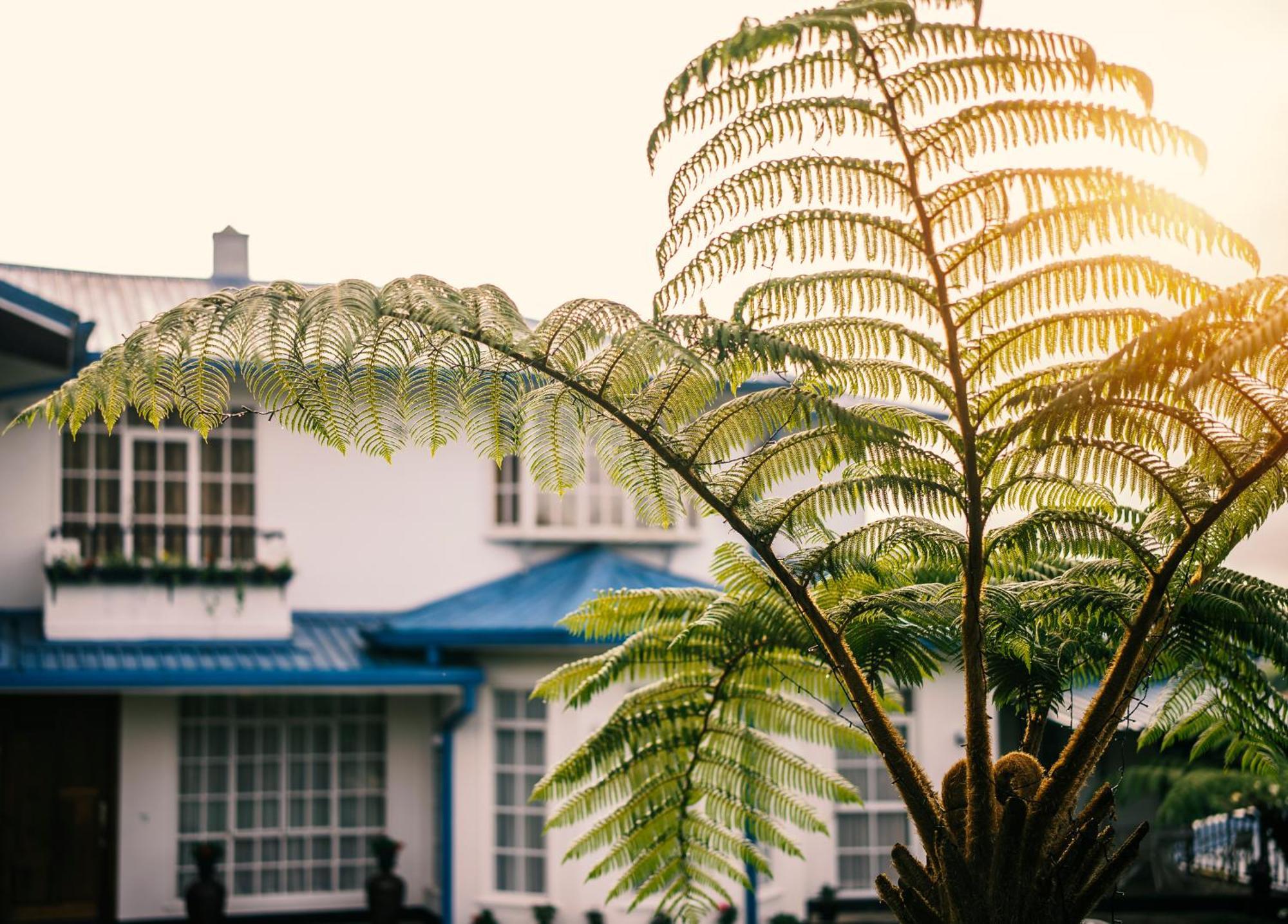 Hotel Aaradhya Nuwara Eliya Exterior foto